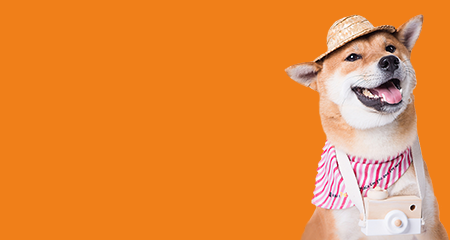 Evcil Hayvan Ürünleri